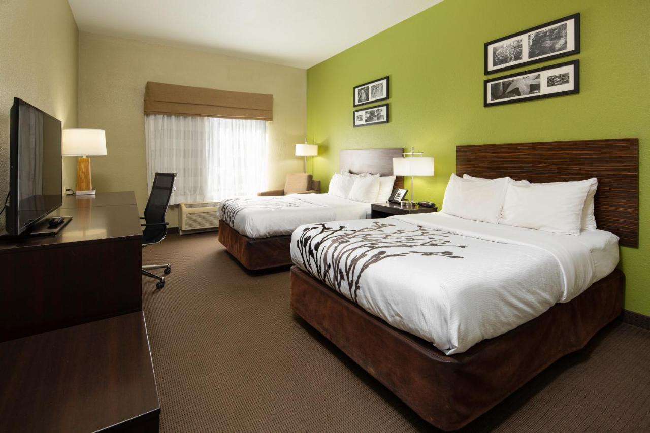 Sleep Area 2*