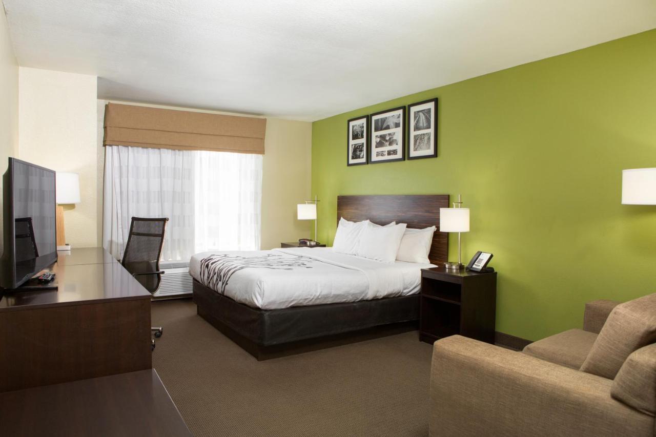 Sleep Area