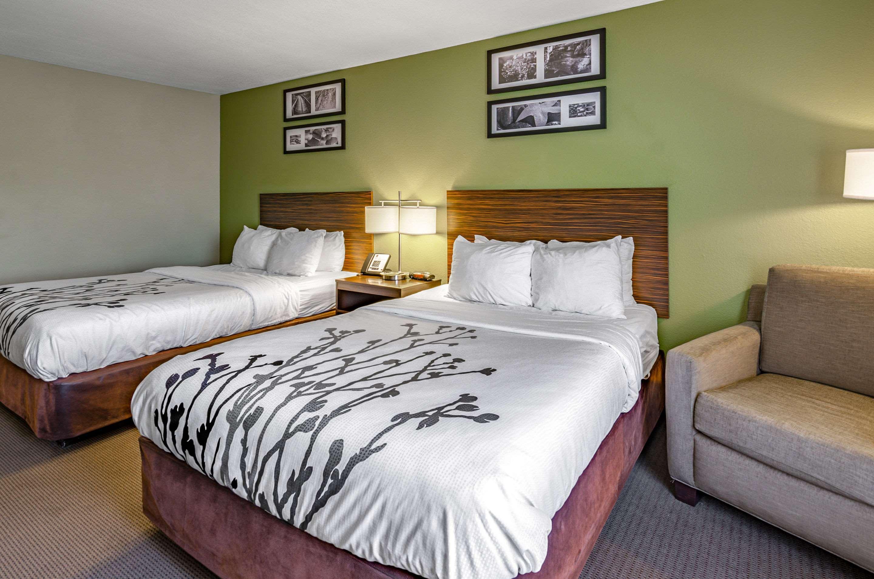 Sleep Area
