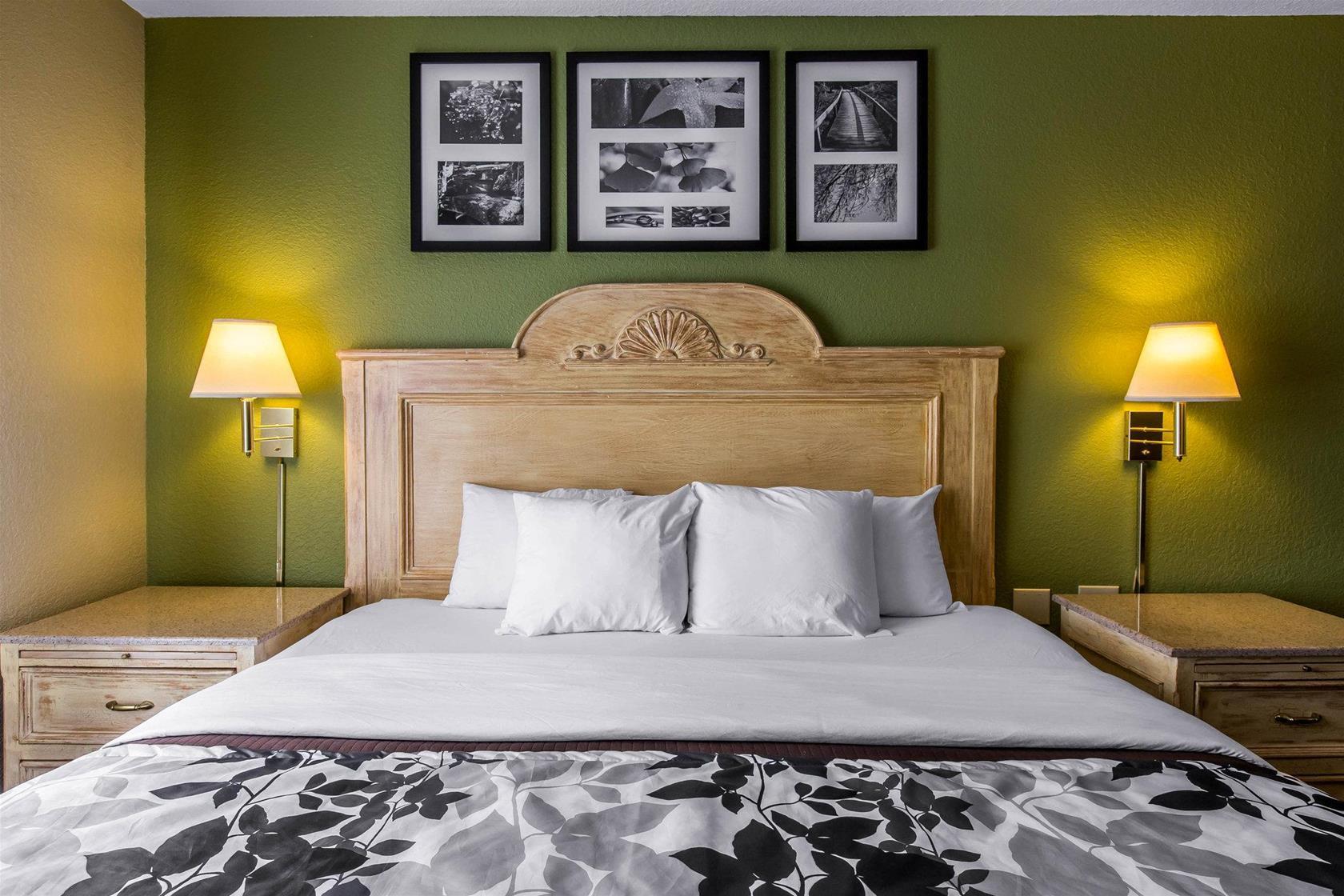 Mini-hôtel Sleep Area